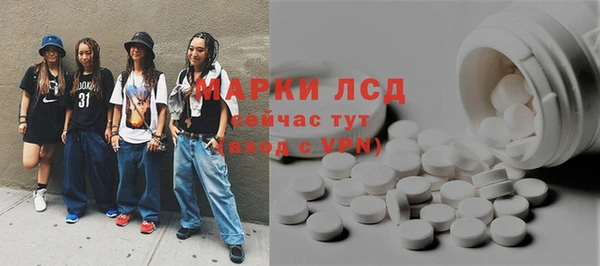 стафф Новозыбков
