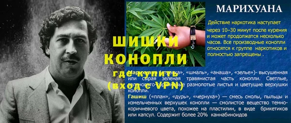 стафф Новозыбков