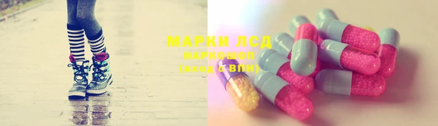 стафф Новозыбков