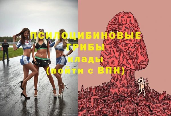 стафф Новозыбков