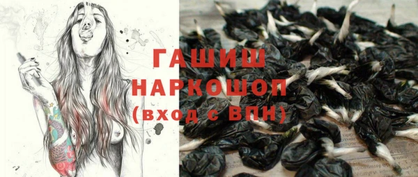 стафф Новозыбков