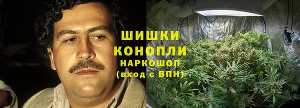 стафф Новозыбков