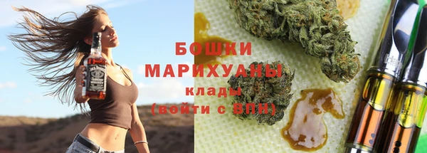 стафф Новозыбков