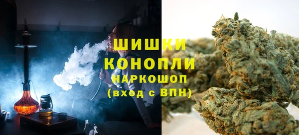 стафф Новозыбков