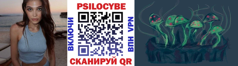 Галлюциногенные грибы Psilocybe Асино