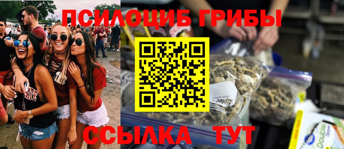 Псилоцибиновые грибы Psilocybine cubensis  Асино 