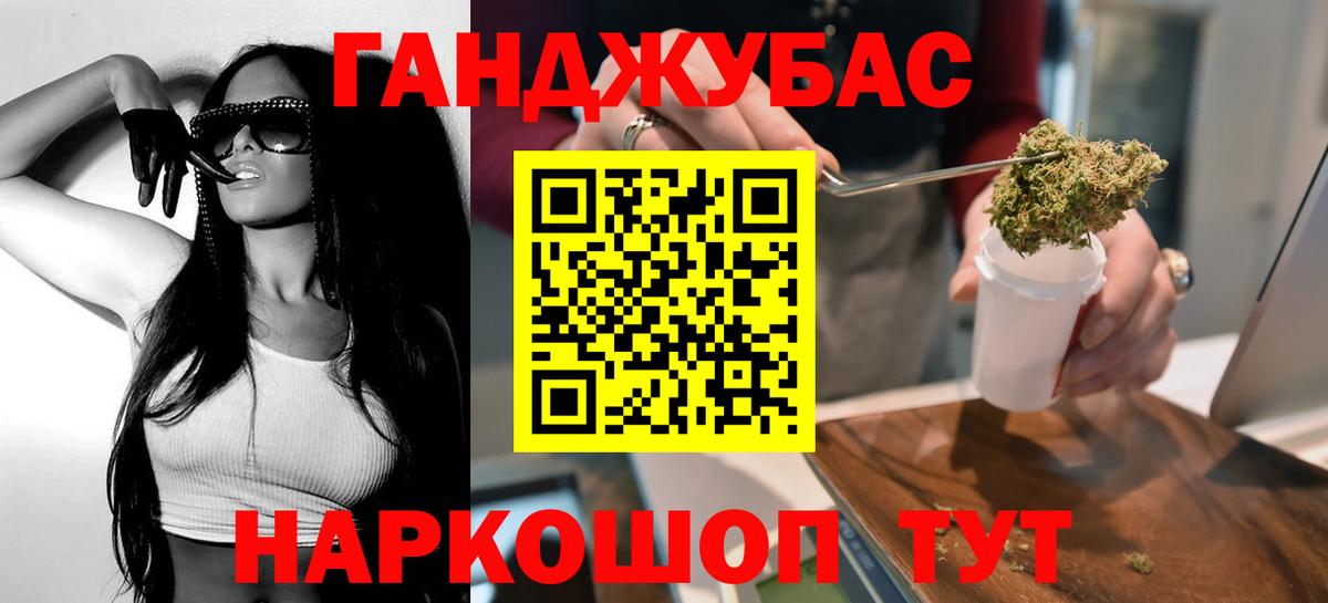 Бошки Шишки планчик Асино