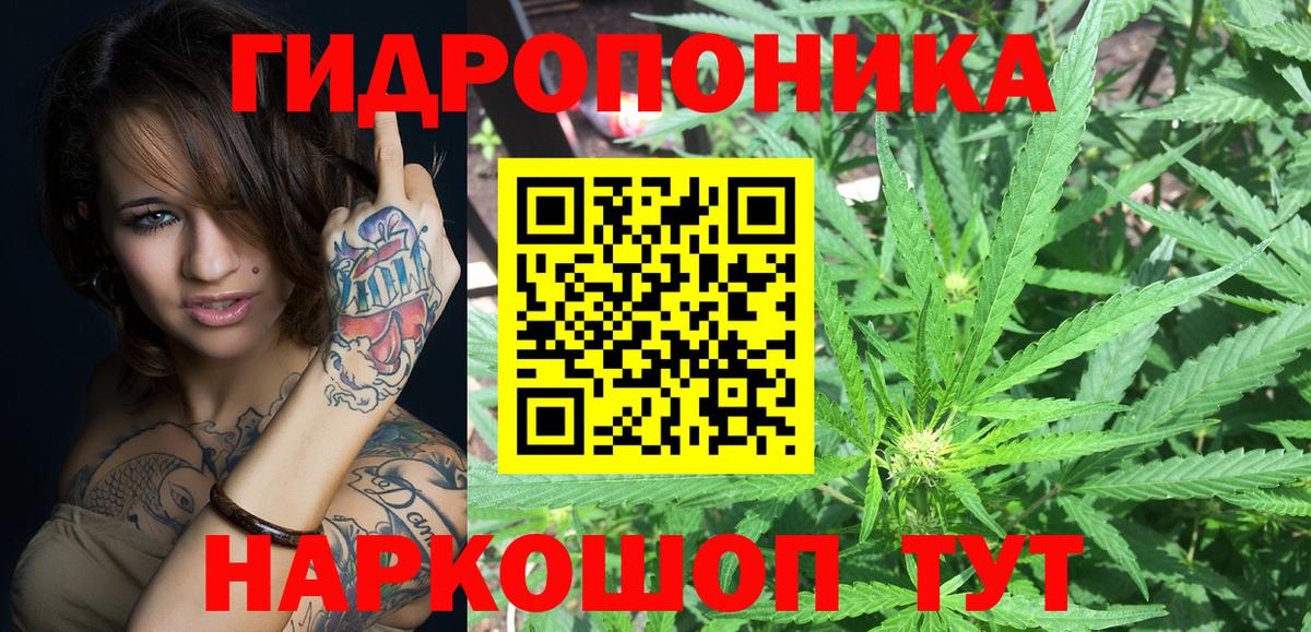 Бошки Шишки THC 21%  Асино  Бошки марихуана планчик  Марихуана конопля 